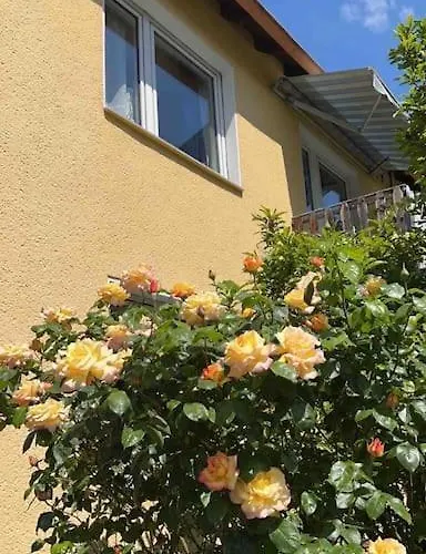 Near Duesseldorf Messe And Airport, Two Bedrooms, Parking, Kitchen And Garden Lejlighed